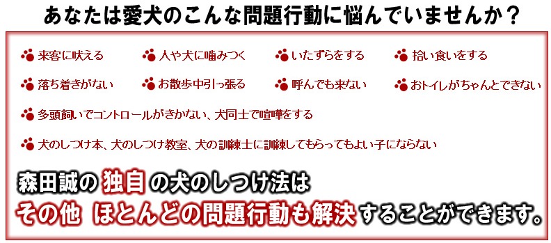 森田誠の犬のしつけ