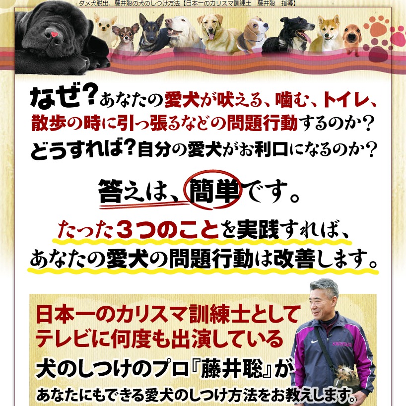 藤井聡の犬のしつけ