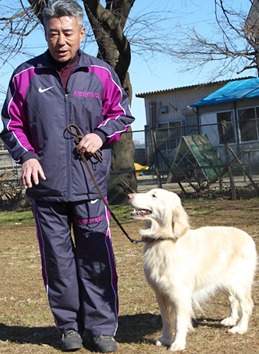 藤井聡の犬のしつけ